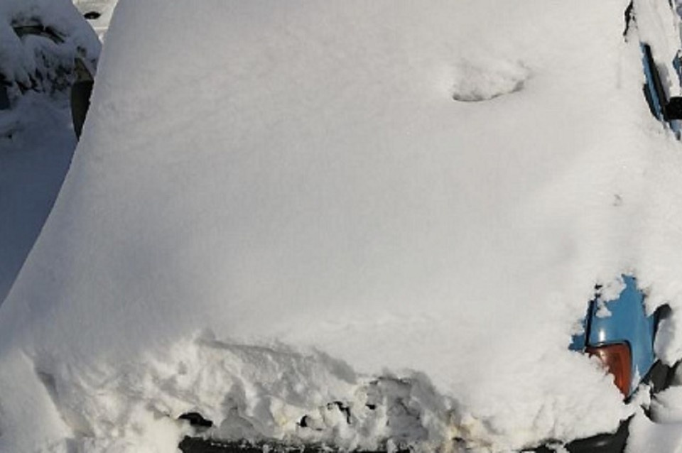    Ее планируют переместить на специализированную стоянку. Фото: мэрия Новосибирска