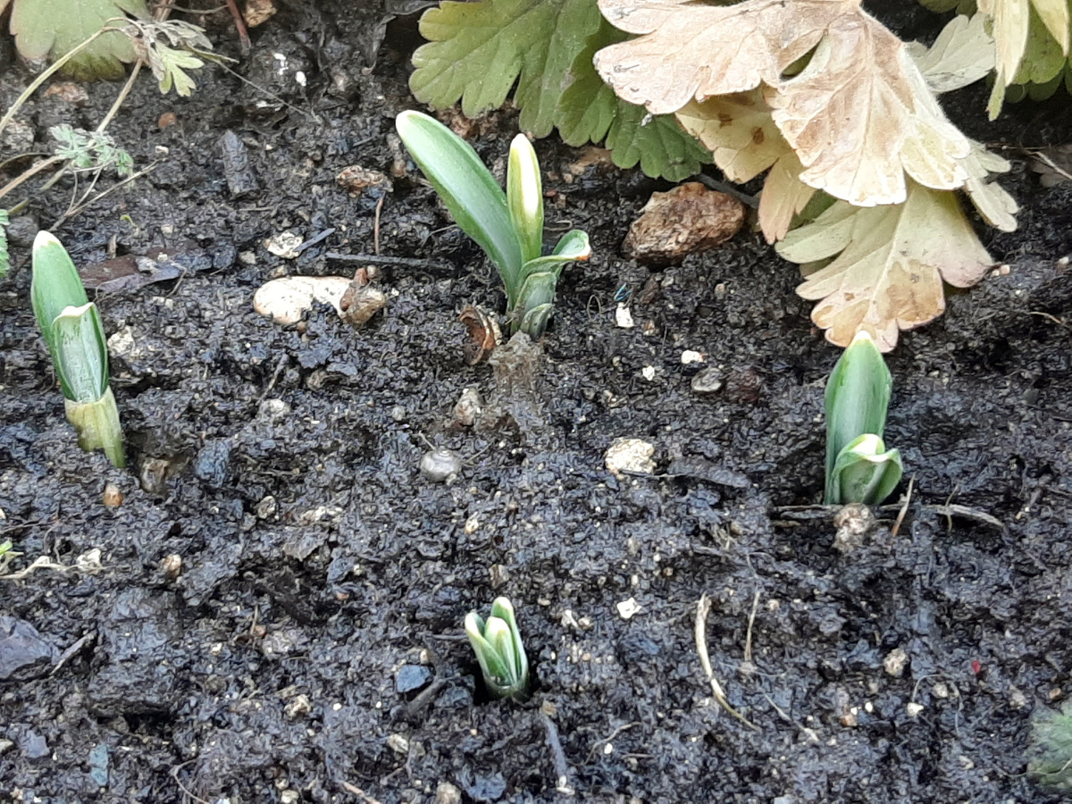 Такая милота!