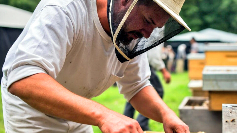 Первый после зимы визит пчеловода на пасеку. Очистительный облет пчел.