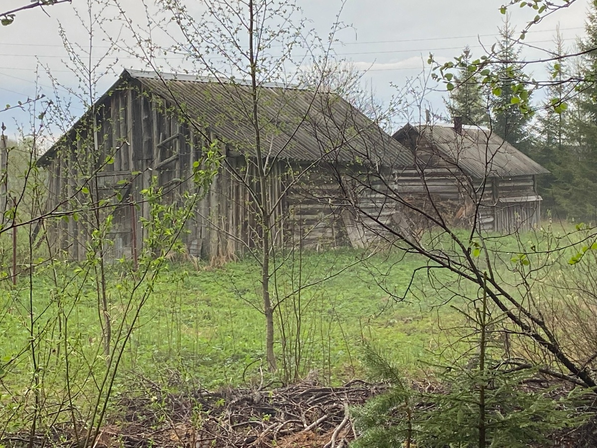    фото: © Мария Голубева