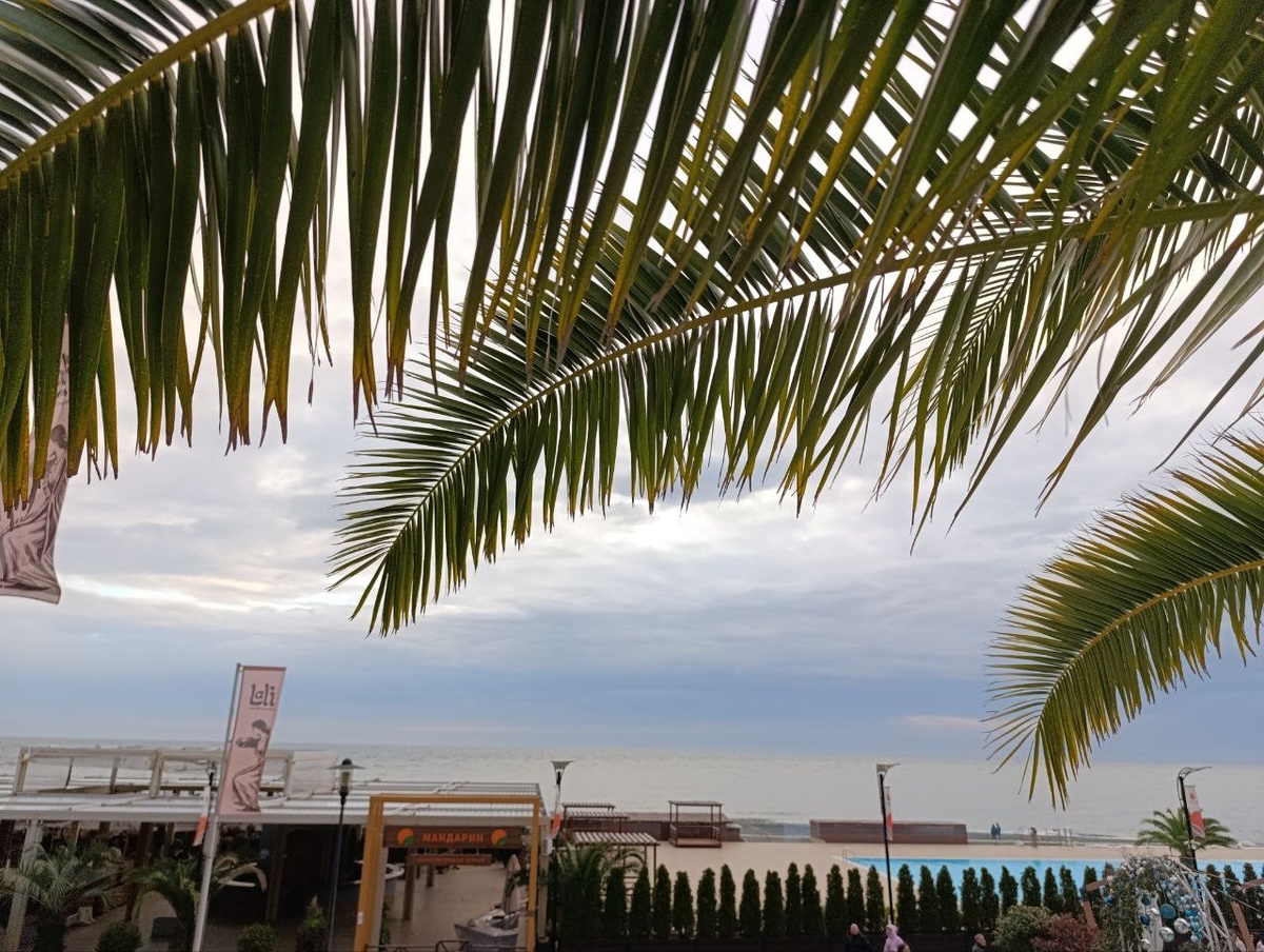 Вокруг - море и пальмы.