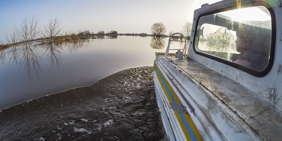    Фото: Москва 24/Лидия Широнина
