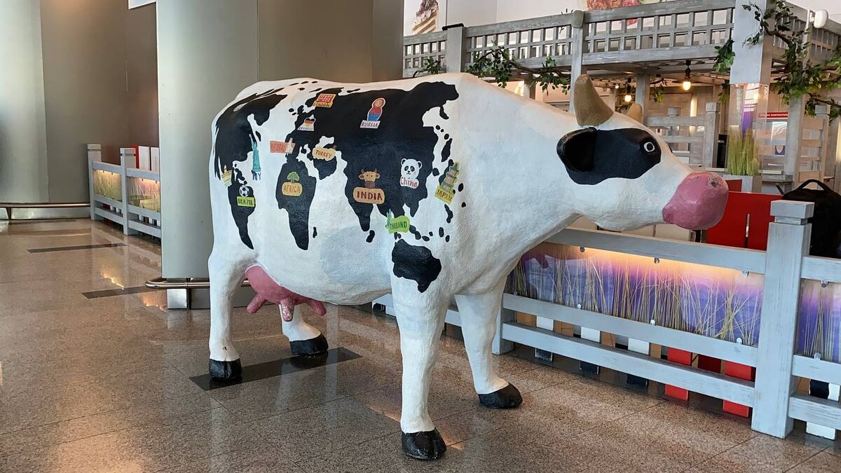 Такой карты я ещё не встречала😁