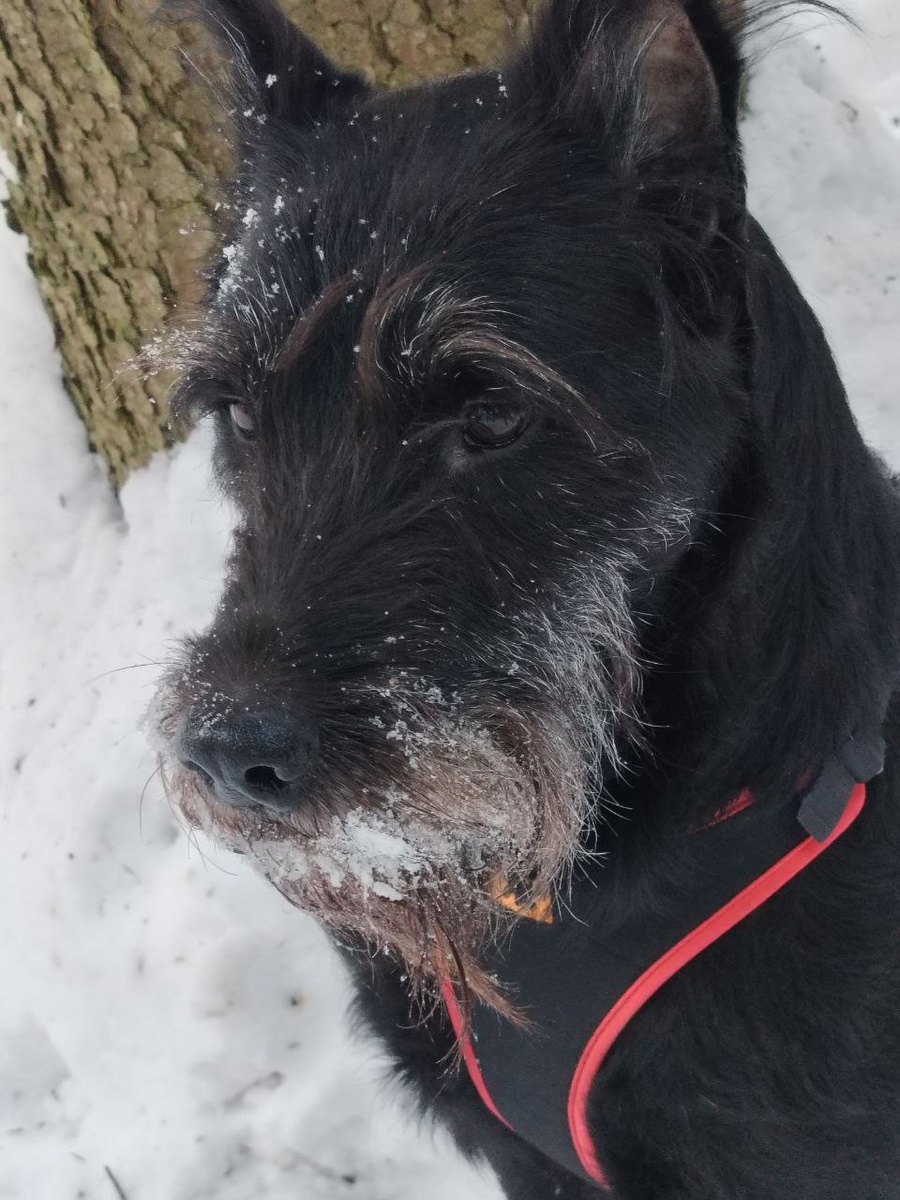 Дарк. Суров, серьёзен, брутален, обаятелен