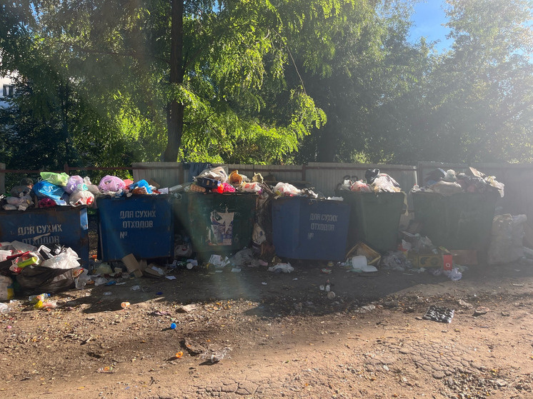     Фото: Марианна Альянова / «МК в Орле»