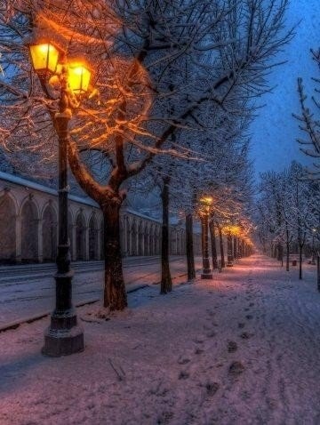 Чьи-то следы... Может быть, мои?...