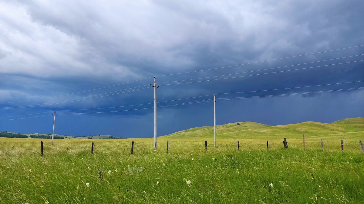     Ҡәйнәм гелән "сихут, эшлекһеҙ" тип һуҡрана торғайны