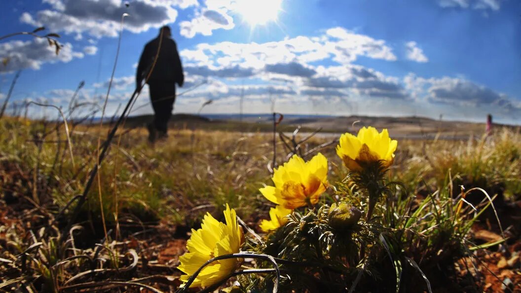    Олег Рукавицын/"Царьград"