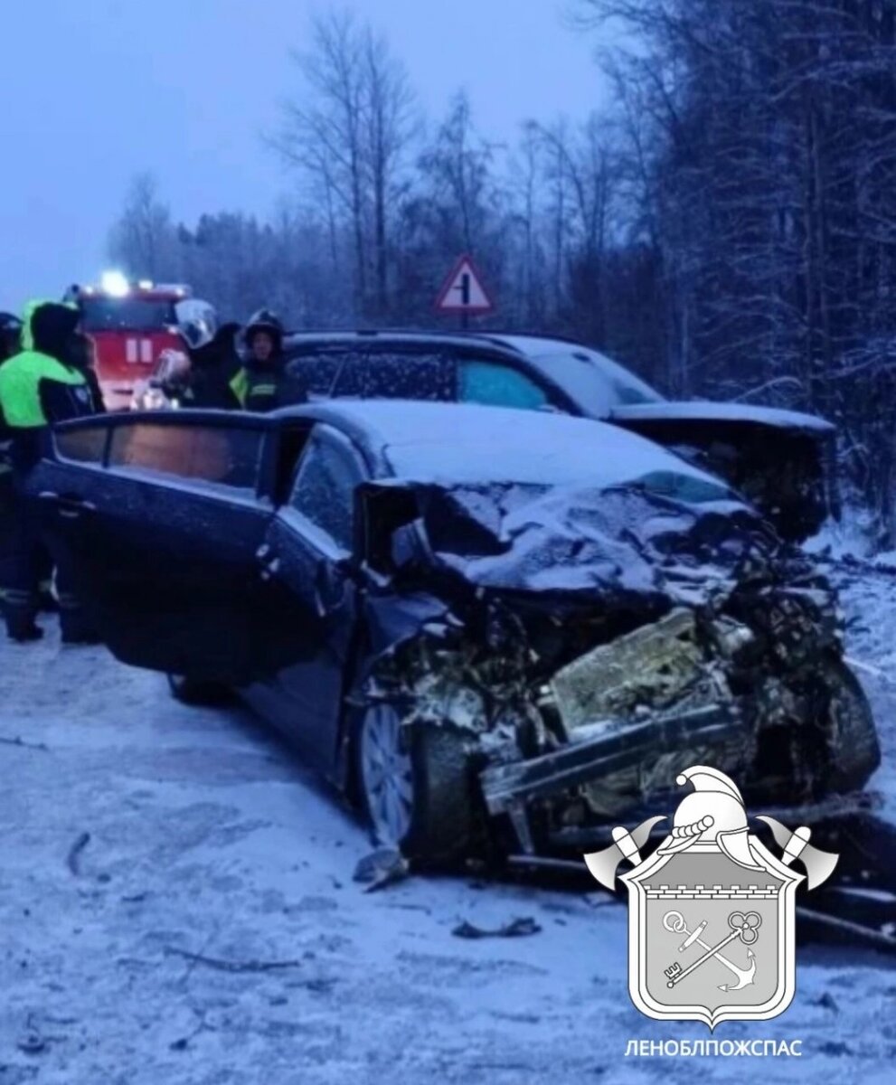    Фото: Леноблпожспас