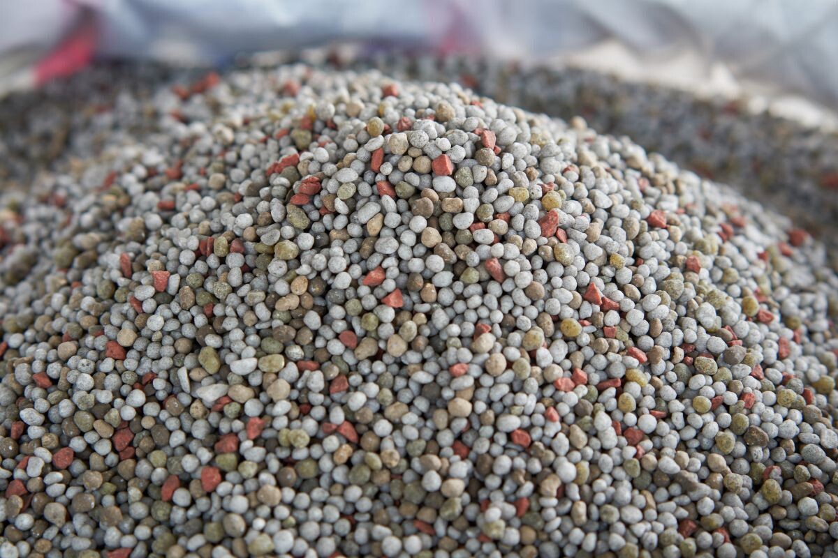 Фото: iamporpla / GettyImages