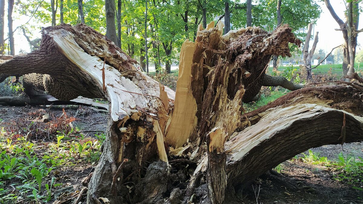    Фото: Victor Lisitsyn/globallookpress.com