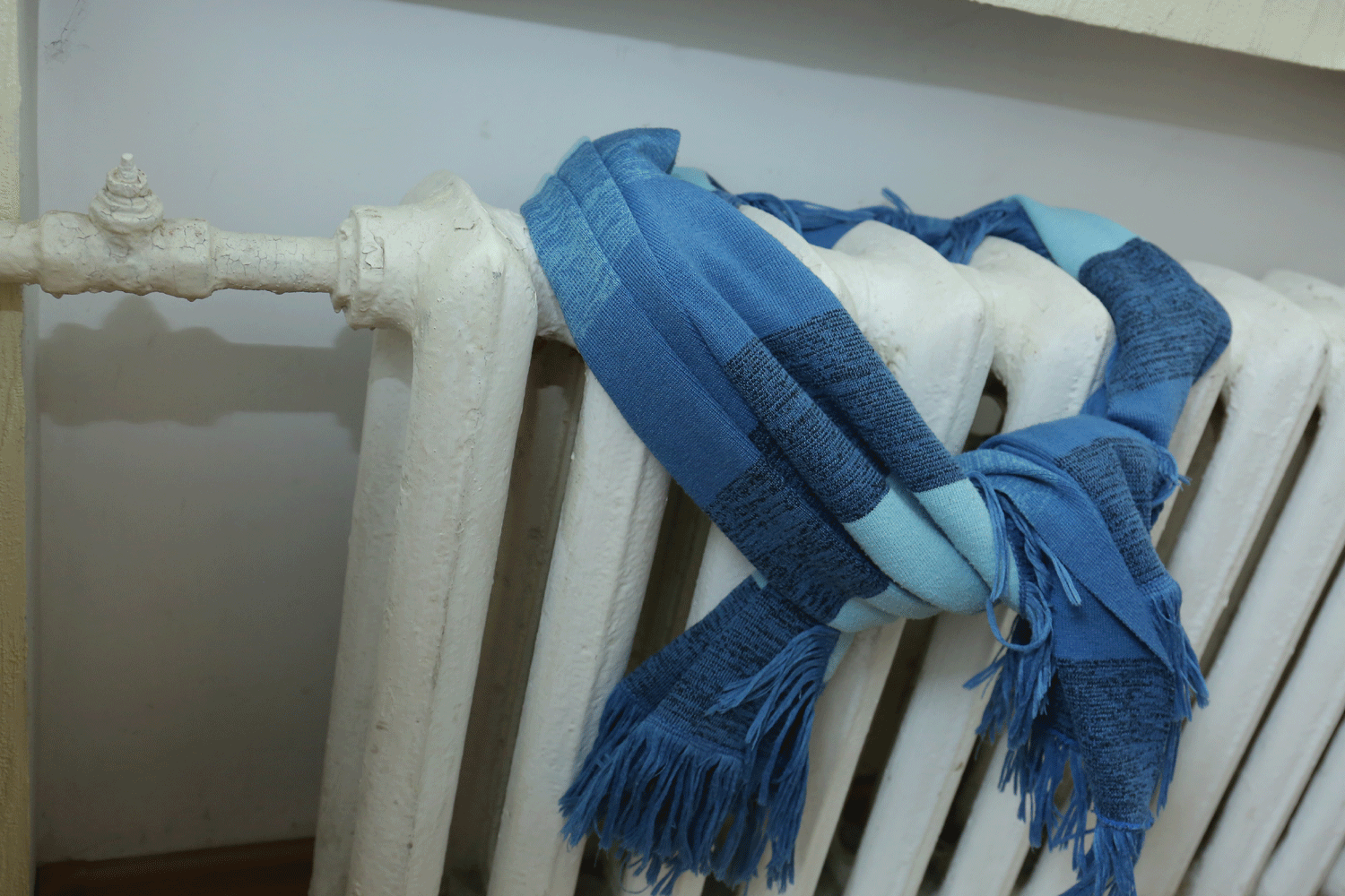    Фото: nsknews.info