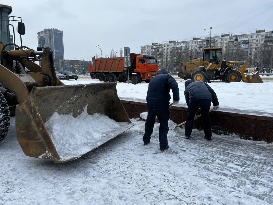    Фото - мэрии Воронежа