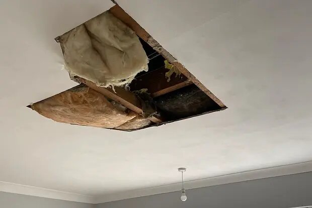    Фото: lenta.ru Павел Евсеев