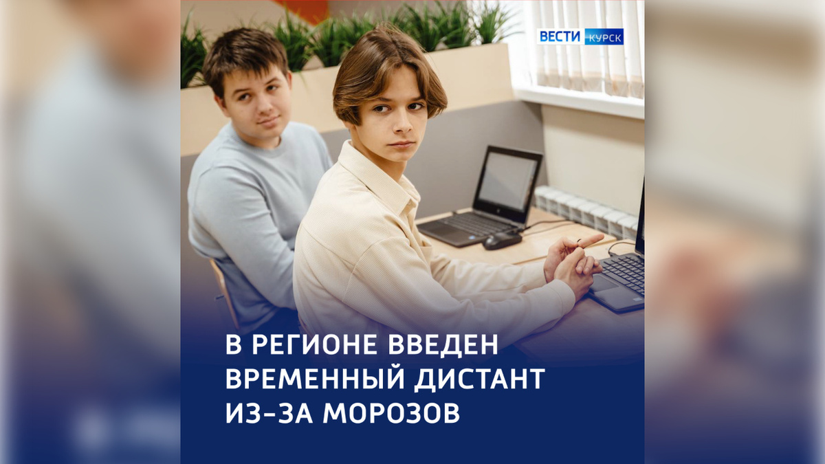    В Курской области школы и детские сады переходят на дистанционное обучение