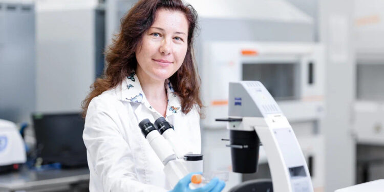    МЕДИАДОМ СИРИУС