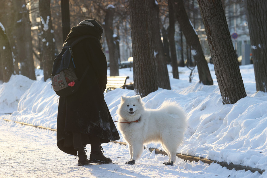    Сергей Булкин/NEWS.ru