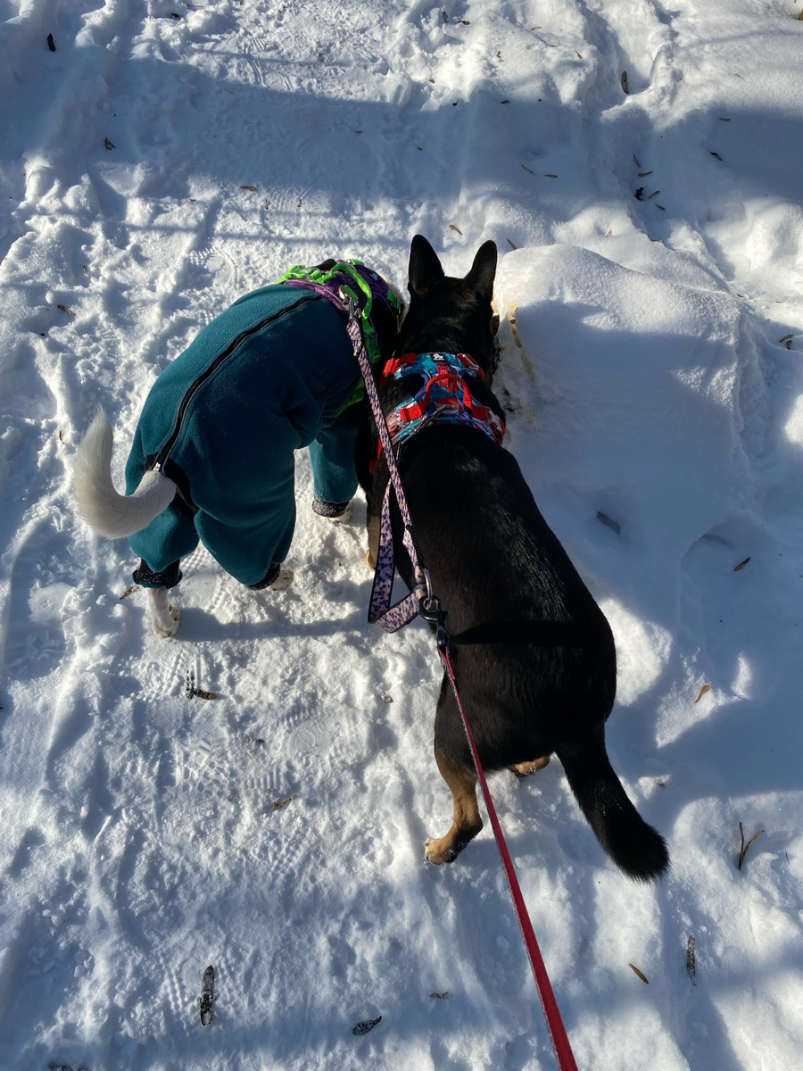 мои характерные