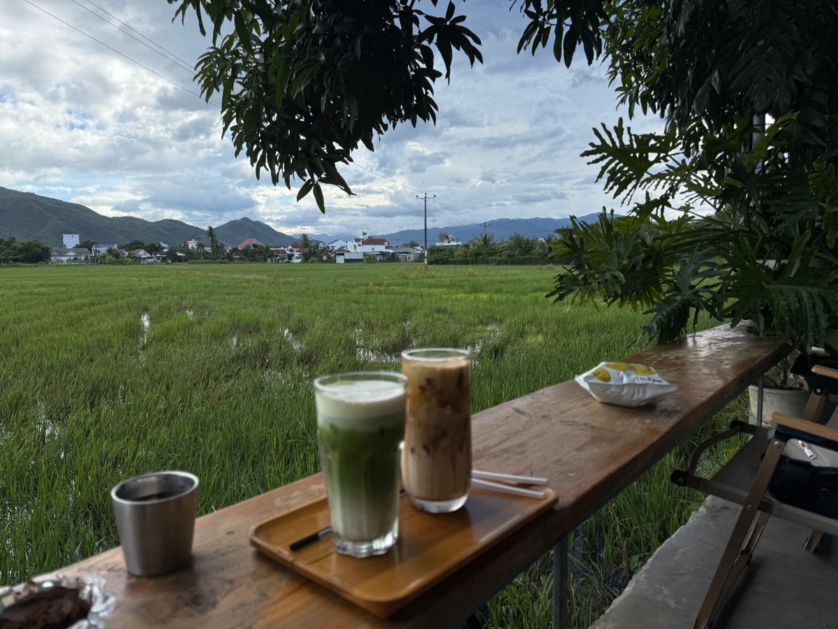 Кофейня с видом на рисовые поля 