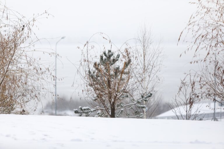В Волгоградской области утвердили границы объектов культурного наследия