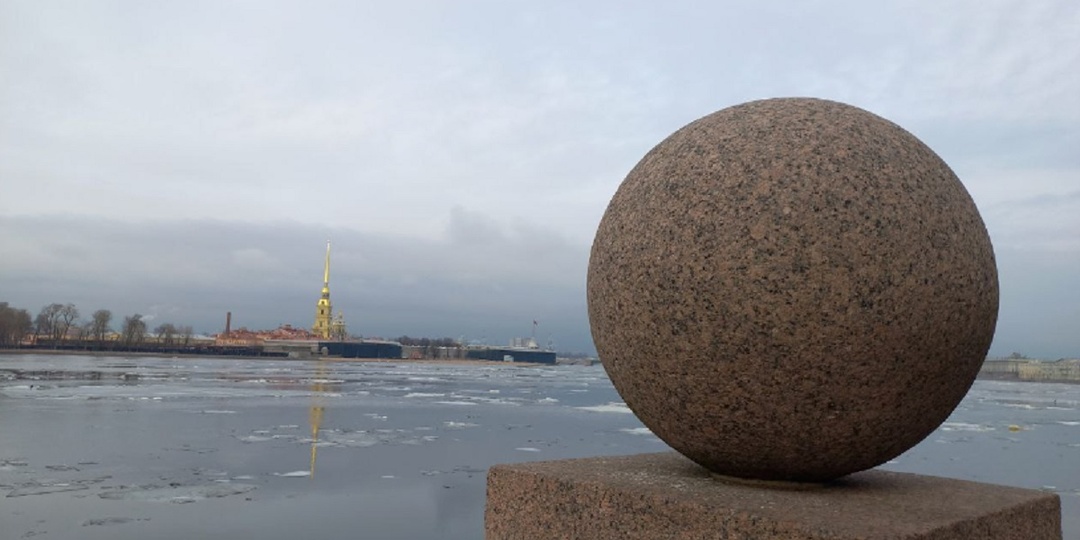 В морозы в Санкт-Петербурге дикие животные выходят из леса к людям