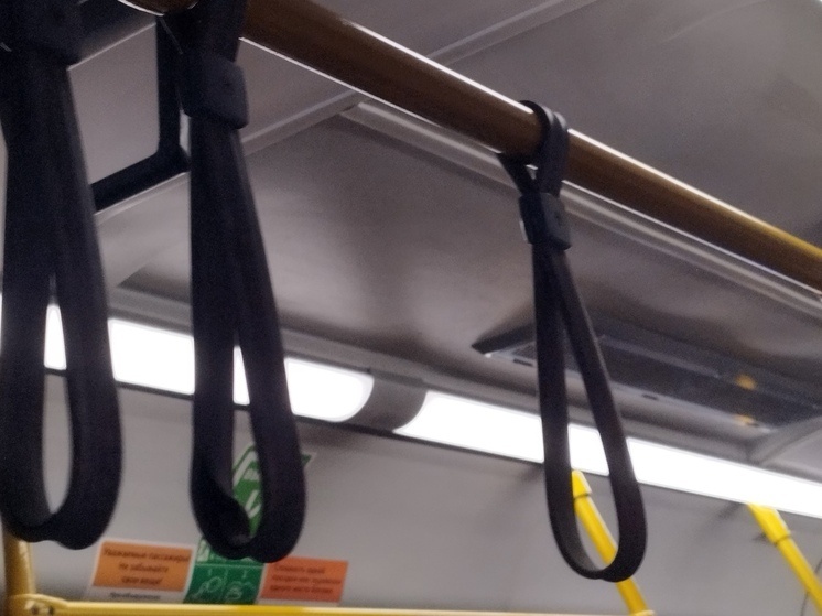     Фото: архив МК в Ленобласти.