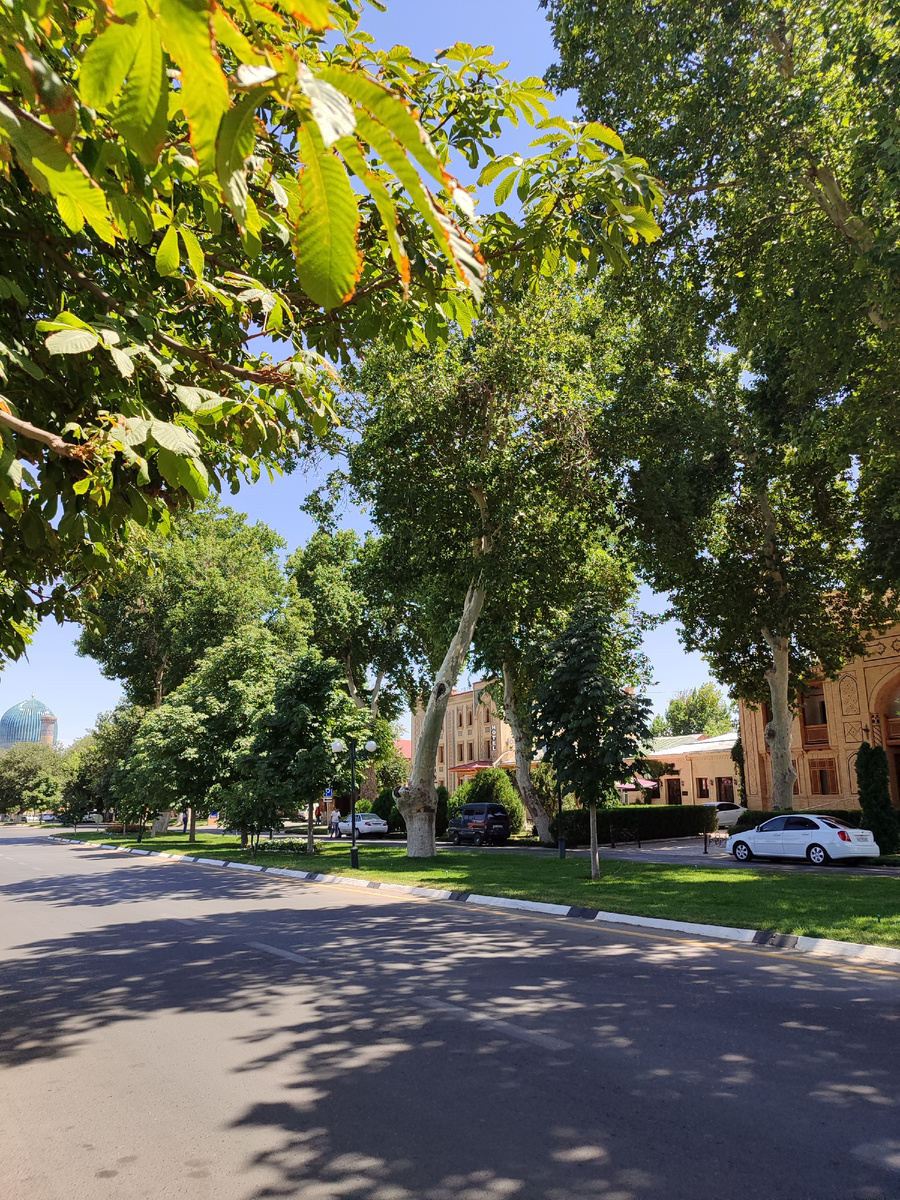 Первое, что бросается в глаза в Самарканде - это обилие зелени. В городе много парков и зелёных аллей, которые предоставляют такую необходимую в этих широтах тень. 