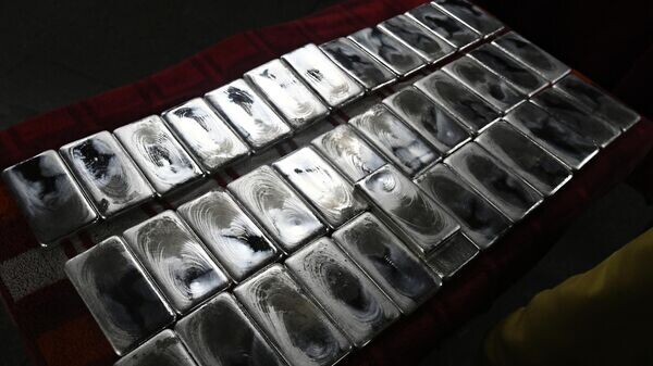    © Sputnik / Илья Наймушин