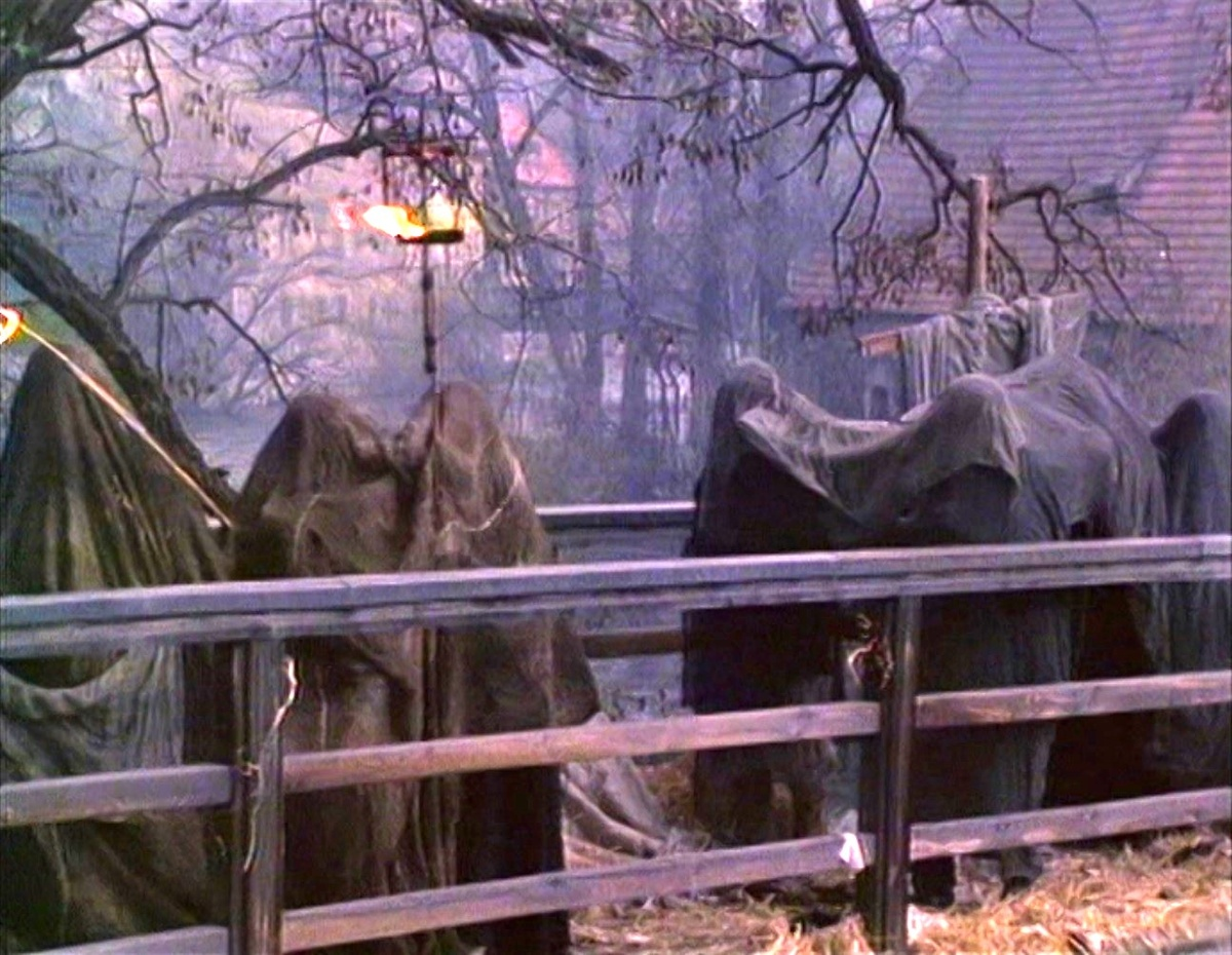 Фрагмент из знаменитого и мрачнейшего фильма моего детства "Сказка странствий". Это не о проказе, а о чуме, но сама процессия выглядела очень угнетающе и вызывала трепет))