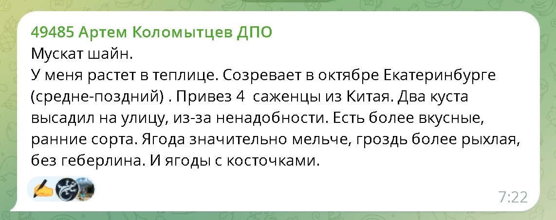 Скриншот сообщения в телеграмме "ВИНОГРАД ЦЕНТР" 