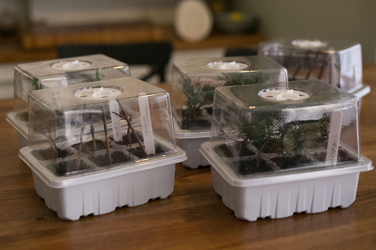 Автор фото Елена Якимова / Greenfingers