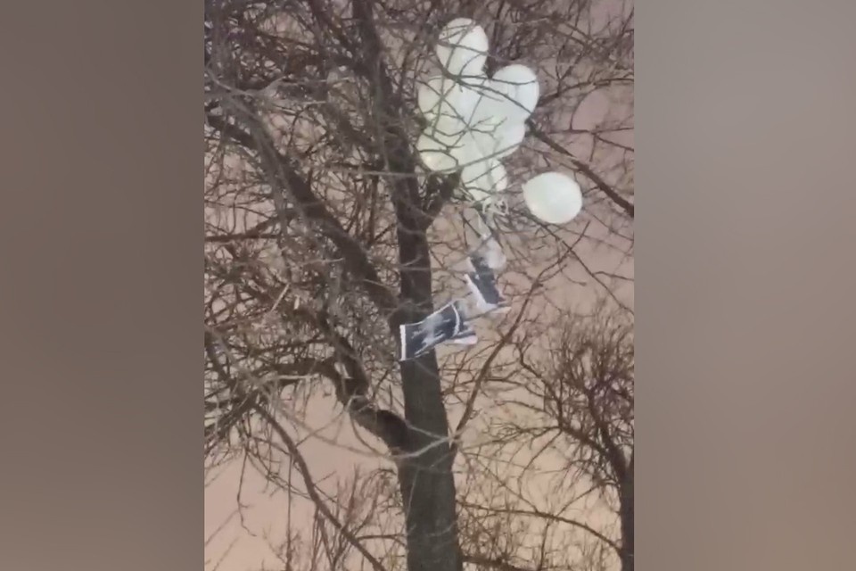    Молодые люди привязали плакаты с требованиями к воздушным шарам. Фото: t.me/dslebedeva_official