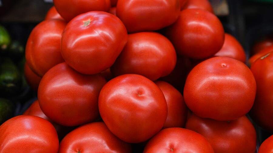    Фото: ИЗВЕСТИЯ/Анна Селина