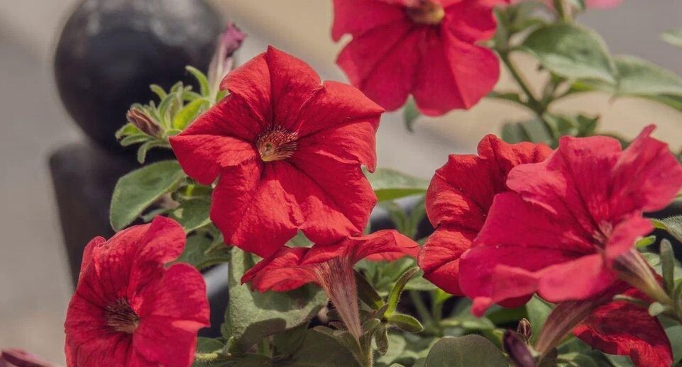    REGIONS/Наталия Надточая