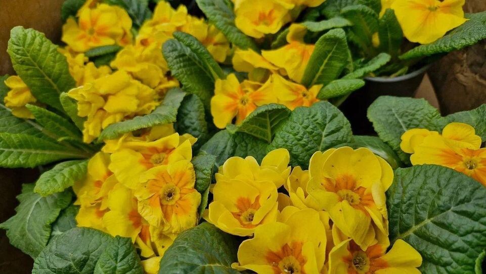    REGIONS/Наталия Надточая