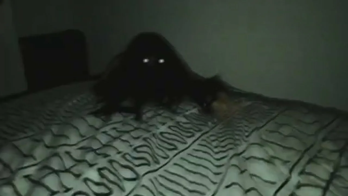 Вы слышали стук по ночам? Теряли вещи? Спите, прижавшись к стене, потому что чувствуете чей-то взгляд из темноты? Мы называем это "домовым", убаюкивая себя милой сказкой. Но что, если это не добрый дух, а нечто древнее, наблюдающее за нами из щелей между мирами? История, которую я расскажу, случилась в обычной панельной девятиэтажке на окраине города. И её главный герой до сих пор не может спать с выключенным светом.