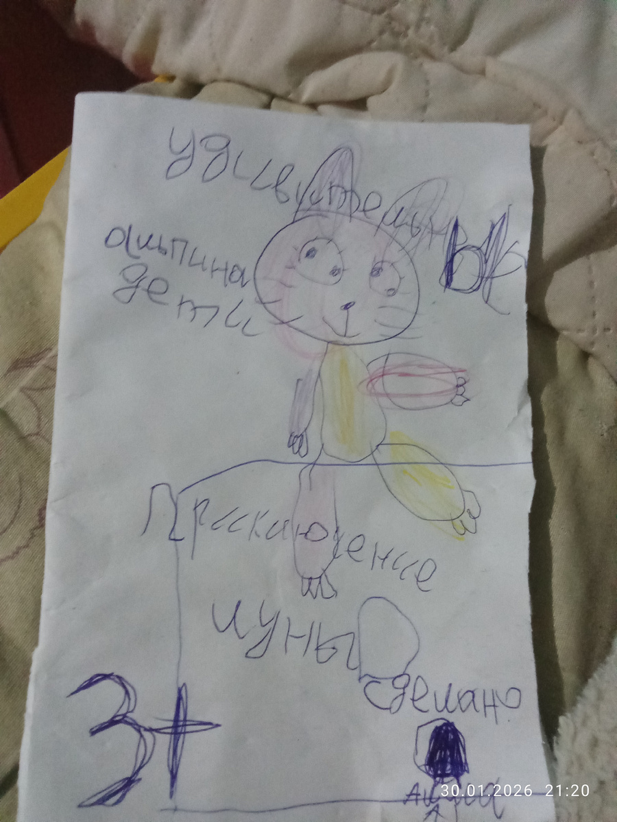 Для мурки совы и сажик и пёсик