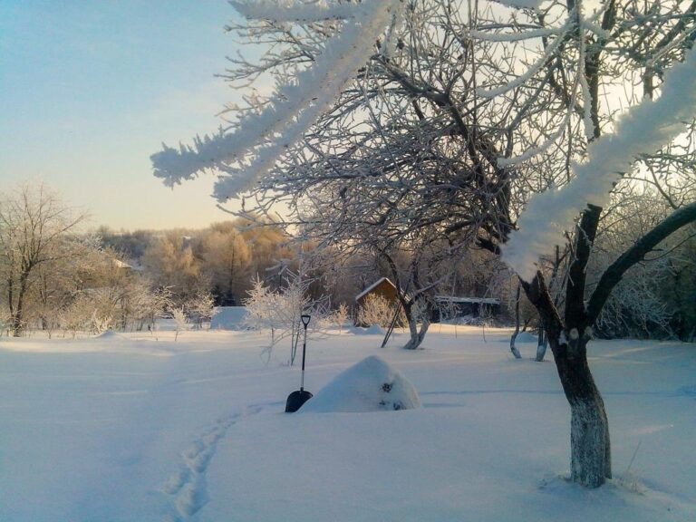    Фото: flickr.com/Sergey Udalov Роман Котлов