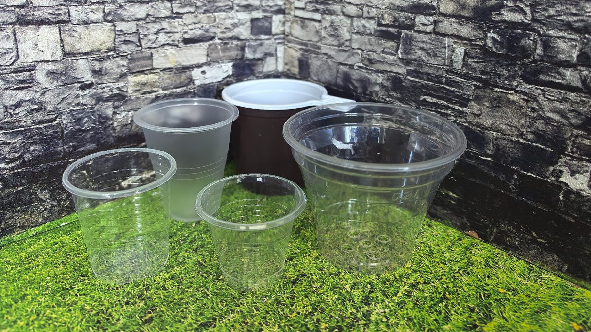 Кофейная чашка выглядит маленькой, но это 200 мл. Фото автора