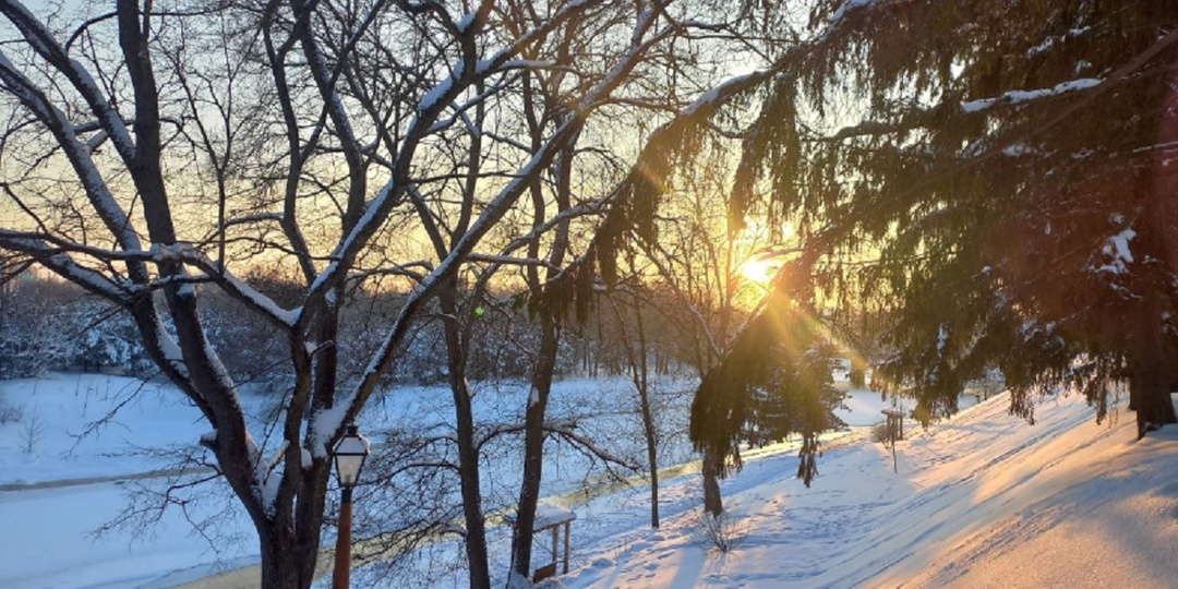 Биологи разъяснили тулякам, чем нельзя кормить птиц зимой
