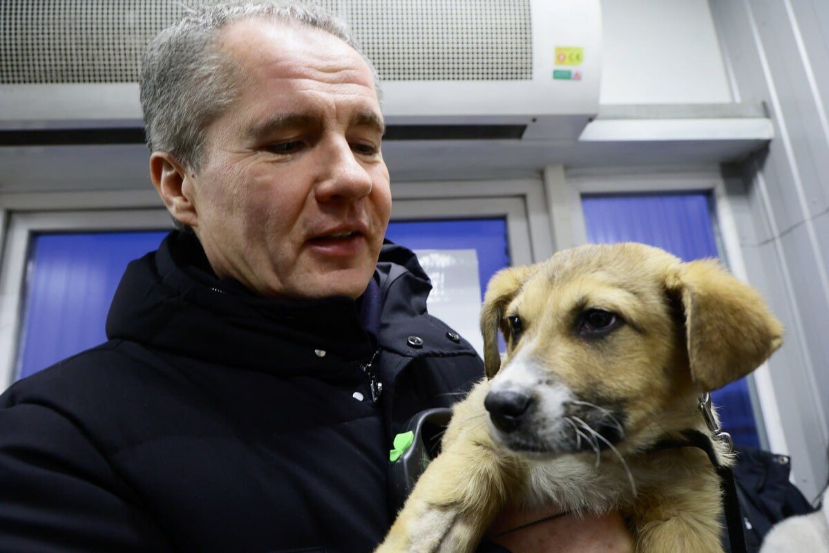     / Источник: Официальный телеграм-канал Губернатора Белгородской области