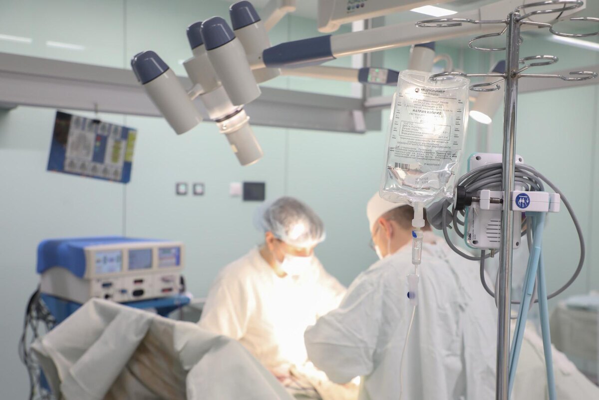 Фото: Александр Глуз / «Петербургский дневник»