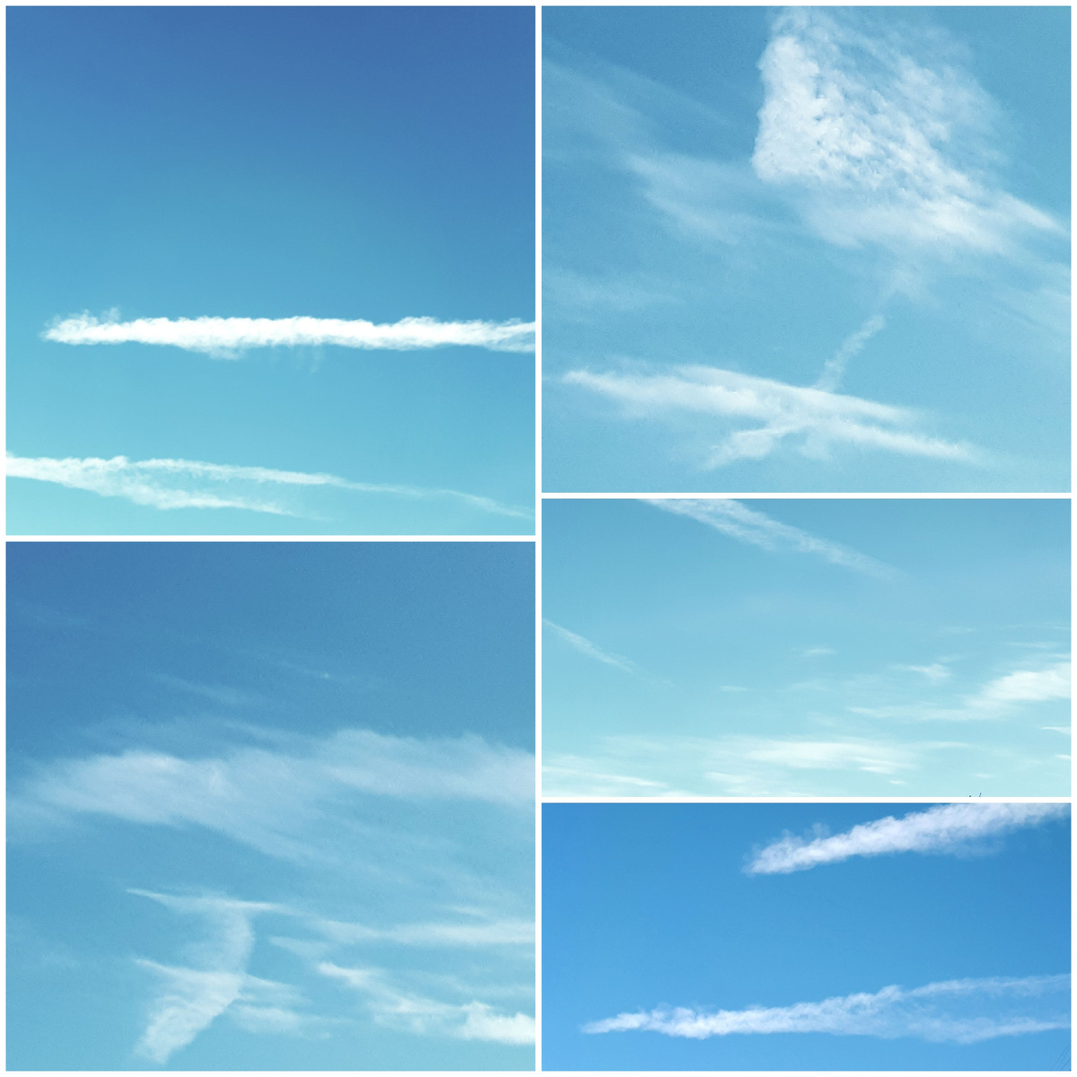 Коллаж автора 30.01.2026г.