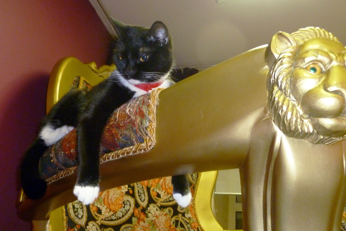 Фото: Столичный курьер