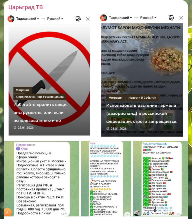 Скриншот: тг-канал Царьград ТВ