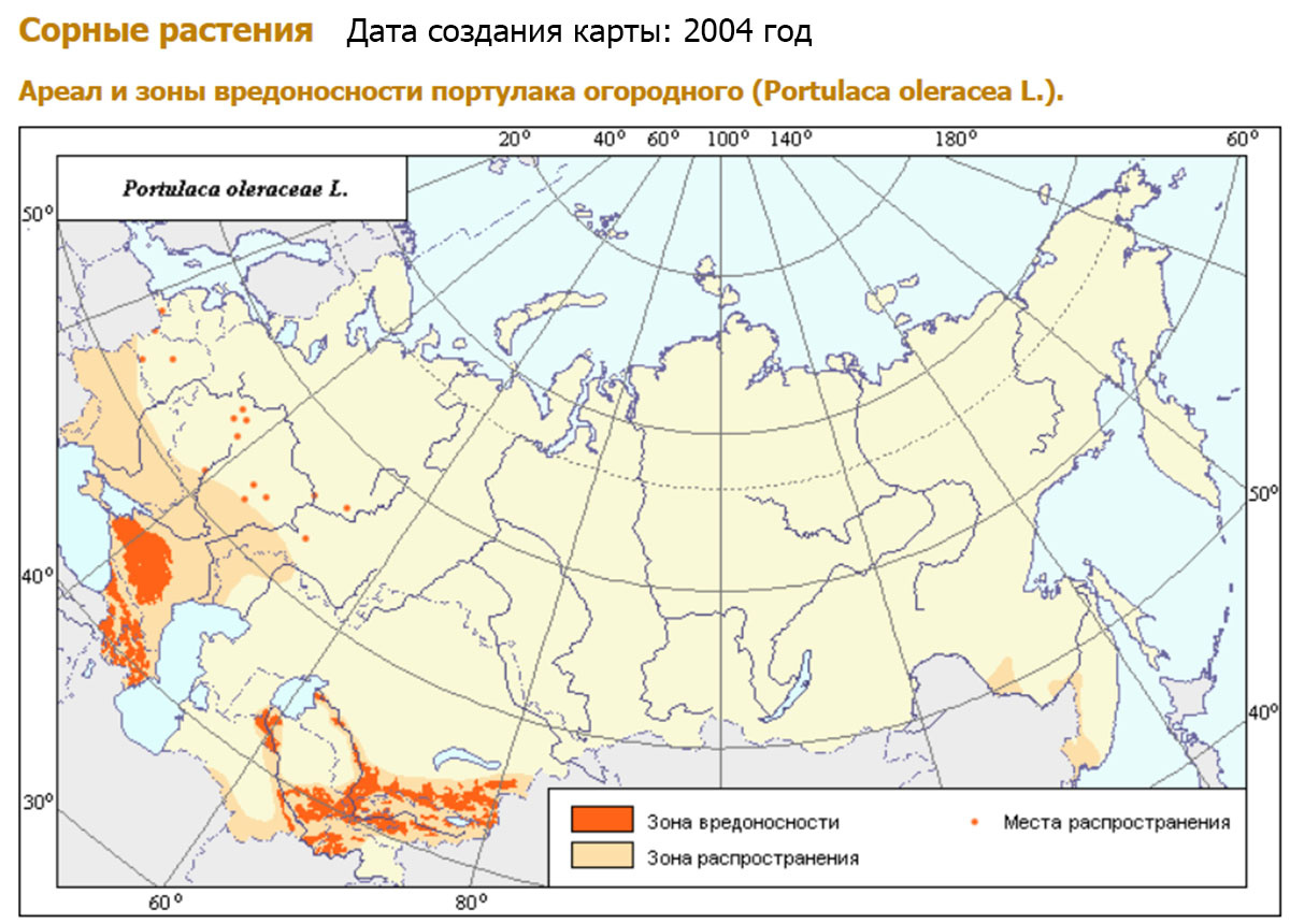Вот так выглядели его зоны вредоносности и рапространения на 2004 год. 
