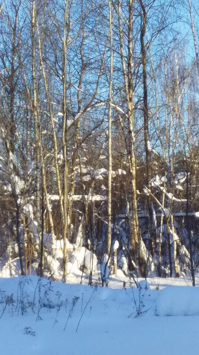 Если внимательно присмотритесь, увидете медведя, забирающегося в берлогу. Он белый...