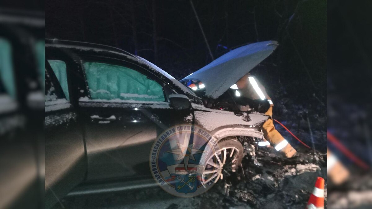    Фото: t.me/acclenobl