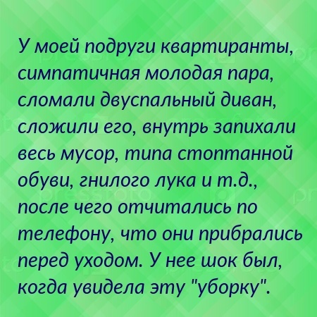 13 человек, о которых можно кое-что узнать, зайдя к ним в съёмную квартиру.