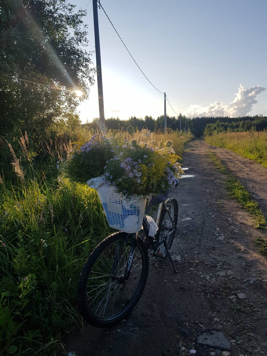 Рабочее место и транспорт